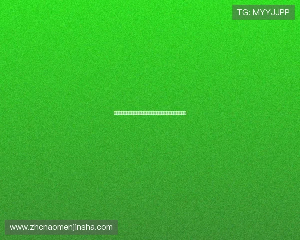 金沙城娱乐官方平台最新安全技术应用，确保玩家信息与资金安全