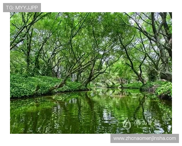 金沙度假区官网为游客提供详细的景点介绍与旅游路线规划指南